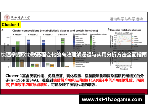 快速掌握欧协联赛程变化的高效理解逻辑与实用分析方法全面指南 快速掌握欧协联赛程变化的高效理解逻辑与实用分析方法全面指南